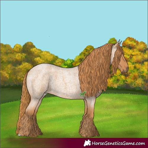Horse Color:Red Roan