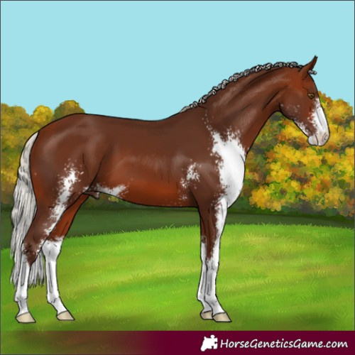Horse Color:Silver Brown Sabino
