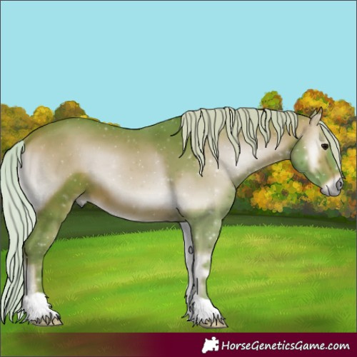 Horse Color:Watercolor Silver Bay Onyx 
