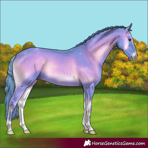 Horse Color:Watercolor Red Onyx