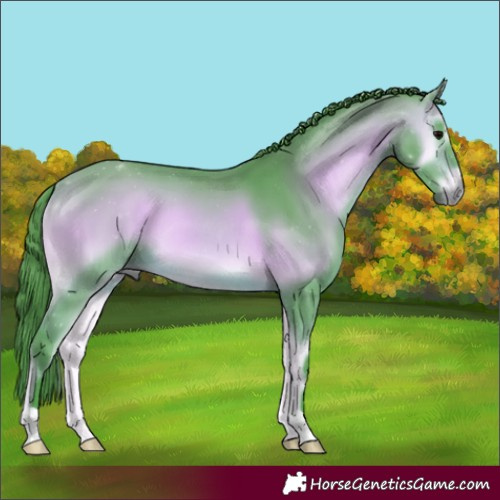 Horse Color:Watercolor Bay Onyx