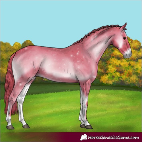 Horse Color:Watercolor Red Onyx 