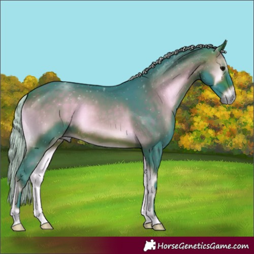 Horse Color:Watercolor Silver Brown Onyx 