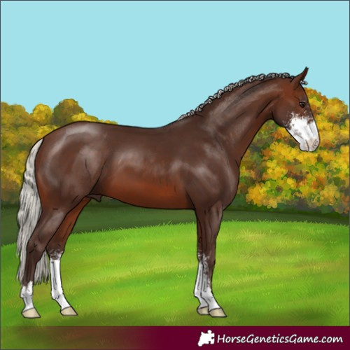 Horse Color:Silver Brown Sabino 