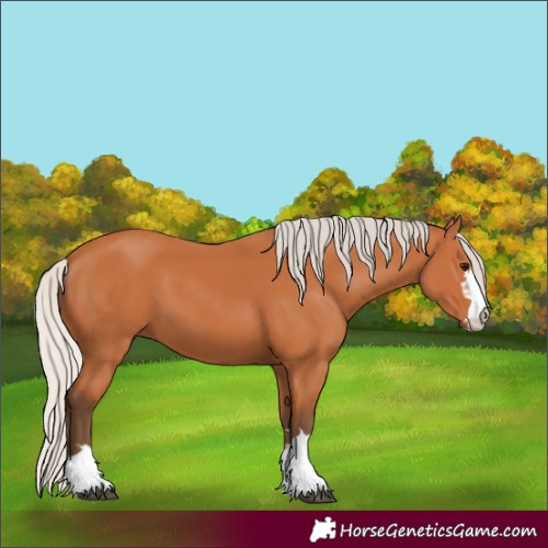 Horse Color:Silver Bay