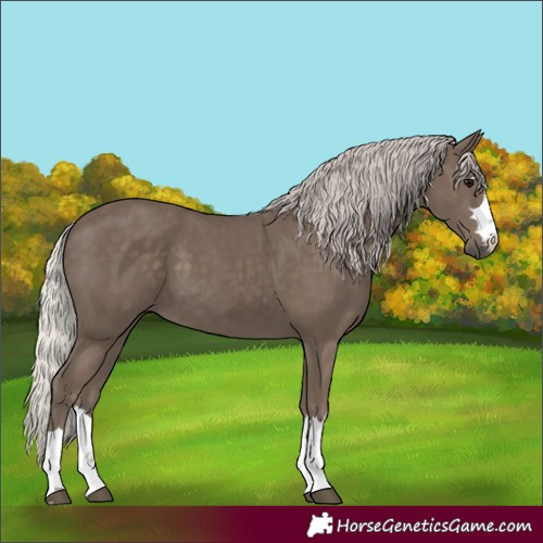 Horse Color:Silver Black 