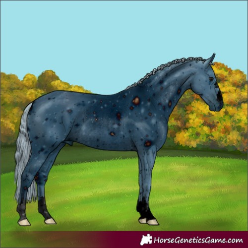 Horse Color:ERROR: UNKNOWN ANOMALY