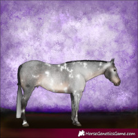 Horse Color:Gray White Spotted Brown Roan Varnish 