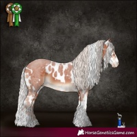 Horse Color:White Spotted Silver Brown Tobiano Skewed LP Spotted Rabicano