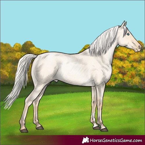 Horse Color:Silver Buckskin Roan Pearl Dun Rabicano 