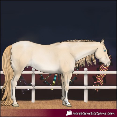 Horse Color:Smoky Black Pearl Rabicano 