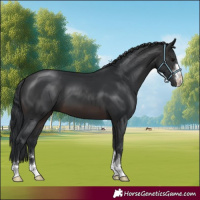 Horse Color:Brown 