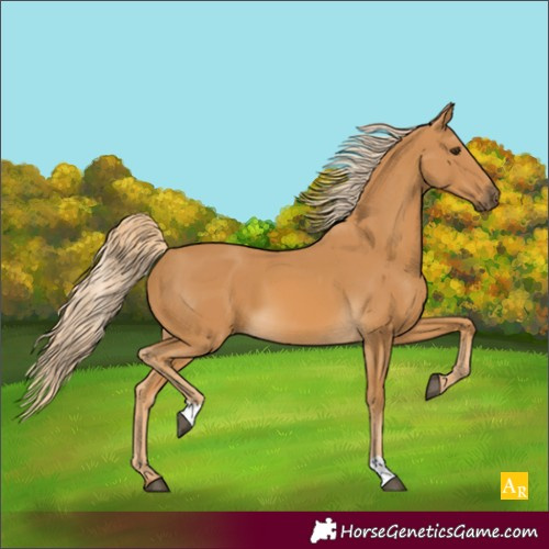 Horse Color:Palomino