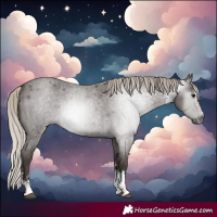 Horse Color:Gray Silver Blue Roan Sabino 