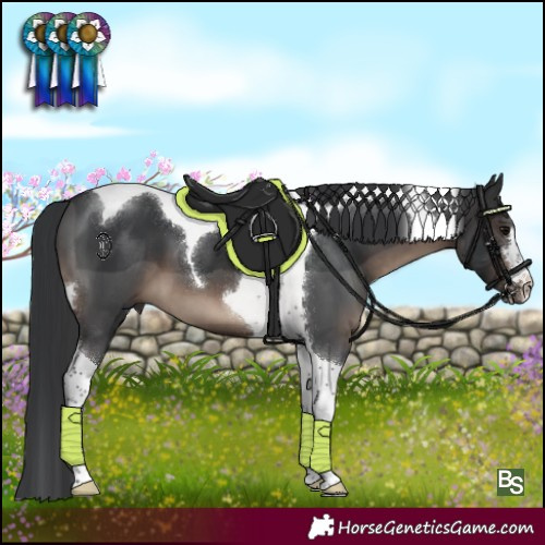 Horse Color:Brown Tobiano 