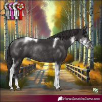 Horse Color:Smoky Black Sabino Tobiano Rabicano