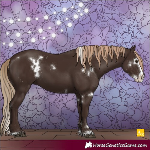 Horse Color:White Spotted Liver Chestnut Splash 