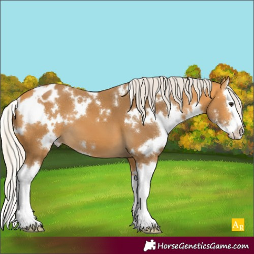 Horse Color:White Spotted Silver Buckskin Sabino Splash Varnish