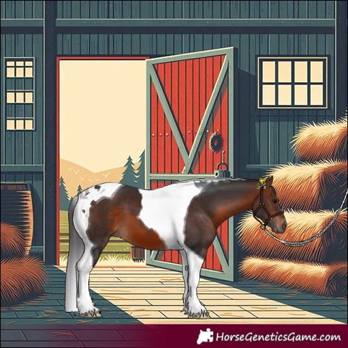 Horse Color:Brown Tobiano 