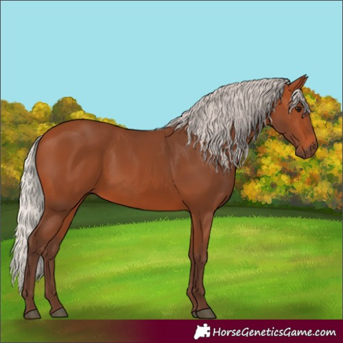 Horse Color:Silver Bay 
