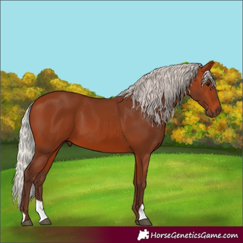 Horse Color:Silver Bay 