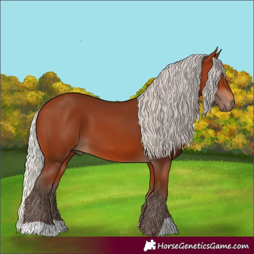 Horse Color:Silver Bay 