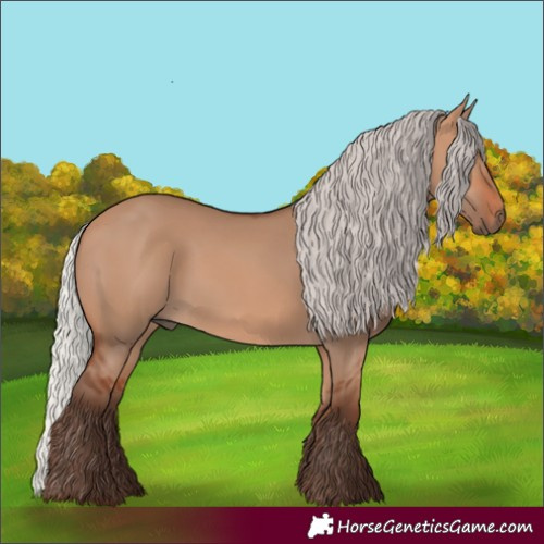 Horse Color:Silver Bay Dun 