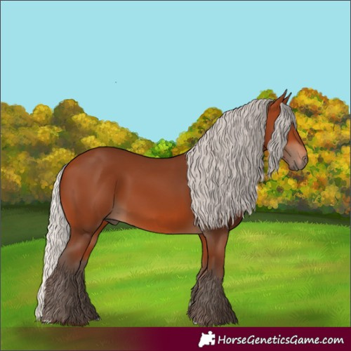 Horse Color:Silver Bay 