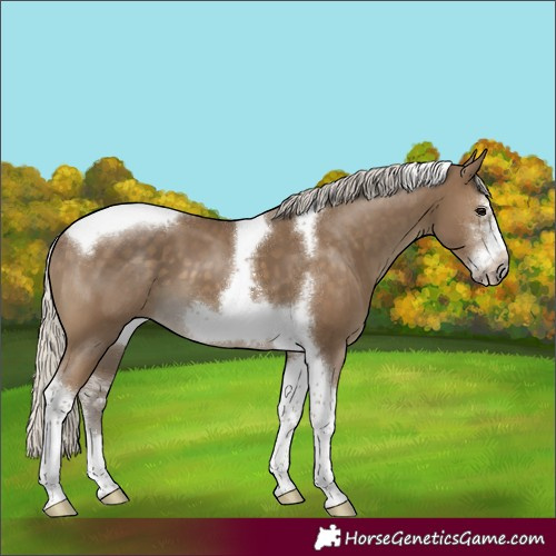 Horse Color:Silver Smoky Black Sabino Tobiano Frame 