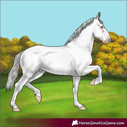 Horse Color:White Spotted Silver Black Pearl Frame 