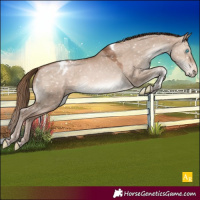 Horse Color:Brown Pearl Dun Mushroom Tobiano Appaloosa Rabicano 