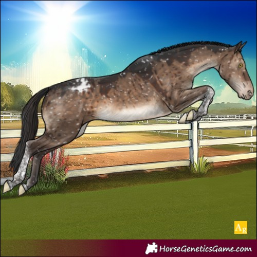 Horse Color:Brown Dun Tobiano Appaloosa Brindle 