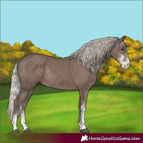 Horse Color:Silver Black Sabino 