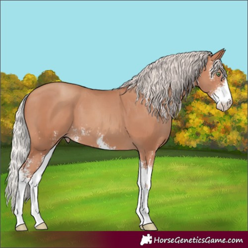 Horse Color:Silver Sable Champagne Sabino