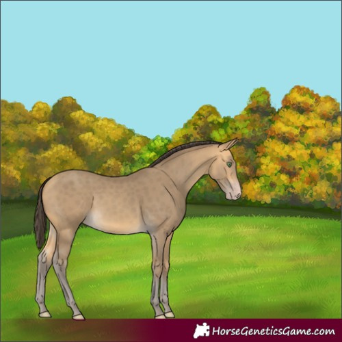 Horse Color:Sable Cream Champagne 