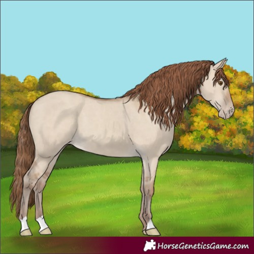 Horse Color:Unknown 