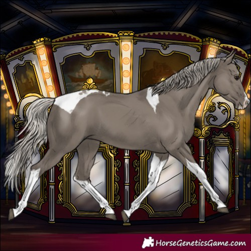 Horse Color:Silver Grullo Splash Tobiano
