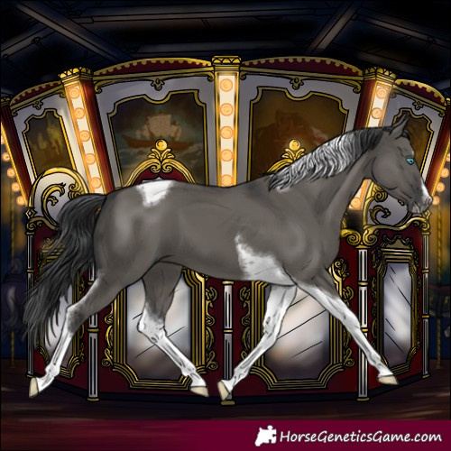 Horse Color:Grullo Splash Tobiano Frame