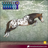 Horse Color:Buckskin Blanket 