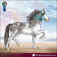 Horse Color:White Spotted Grullo Appaloosa 