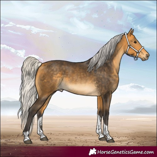 Horse Color:Silver Buckskin Tobiano