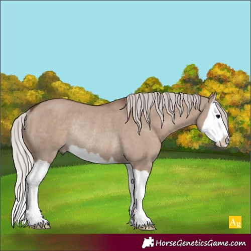 Horse Color:Unknown 