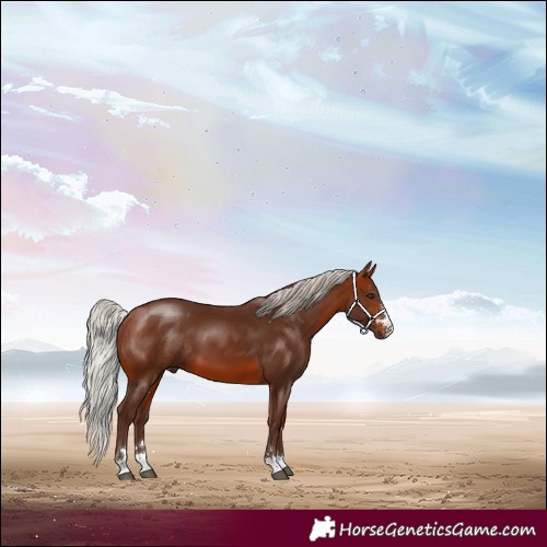 Horse Color:Silver Brown
