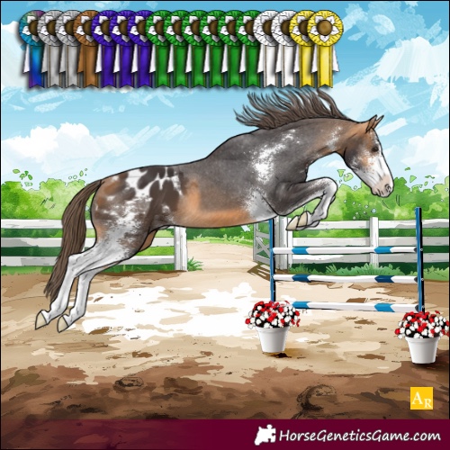 Horse Color:Buckskin Sabino Varnish 