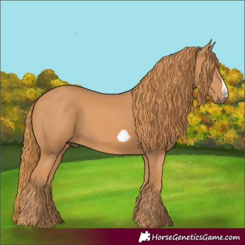 Horse Color:Chestnut Frame