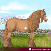 Horse Color:Chestnut Frame 