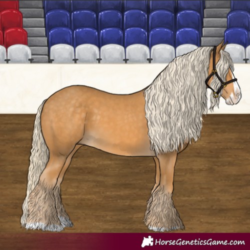 Horse Color:Palomino Splash