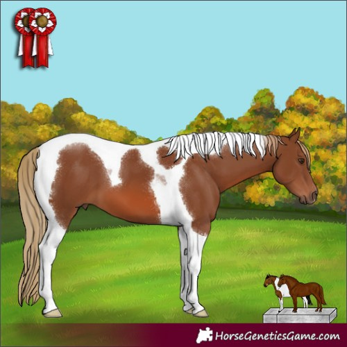 Horse Color:Chestnut Tobiano