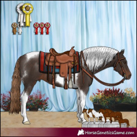 Horse Color:Liver Chestnut Tobiano 