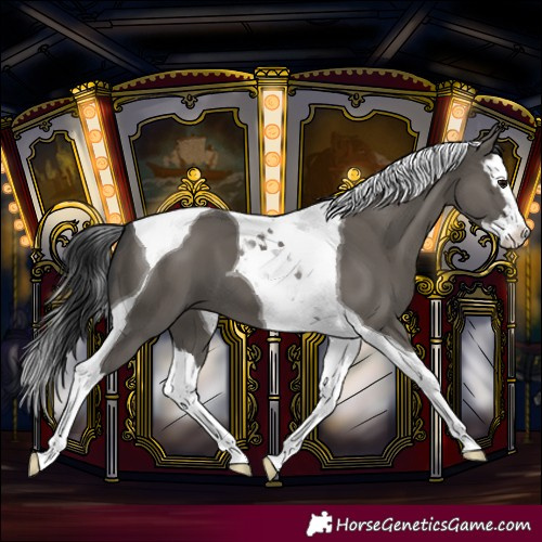 Horse Color:Grullo Splash Tobiano 